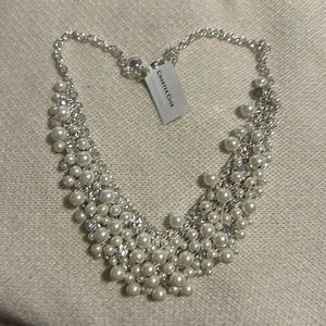 Beautiful silver stone, and pearl necklace!
